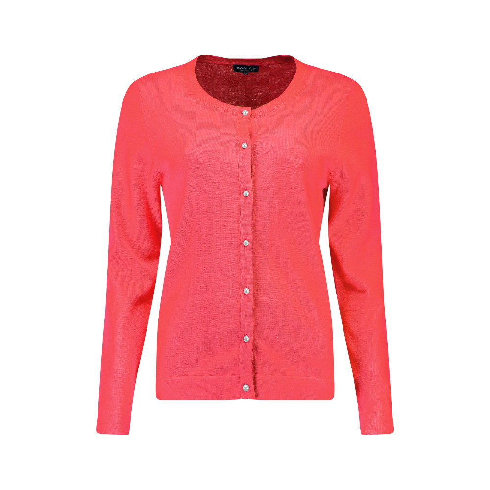 https://content.storeinfo.nl/applicatie/img/863/20230908122308_2334158_5922JBLPEARLCARDI.png